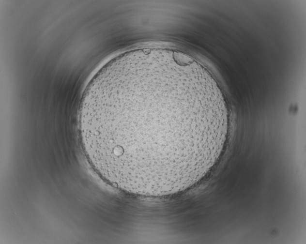 X0000112980852200910081108