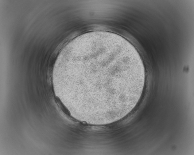 X0000112980857200910081108