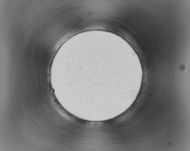 X0000112980858200910081108