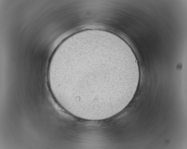 X0000112980861200910081108