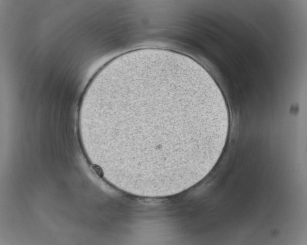 X0000112980862200910081108