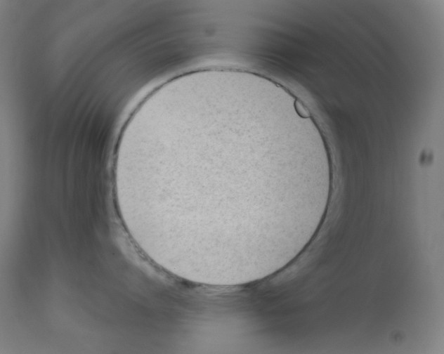 X0000112980864200910081108