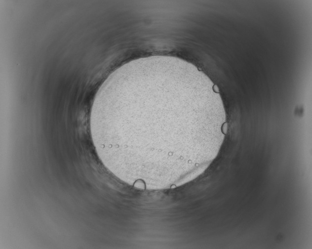 X0000112980866200910081107