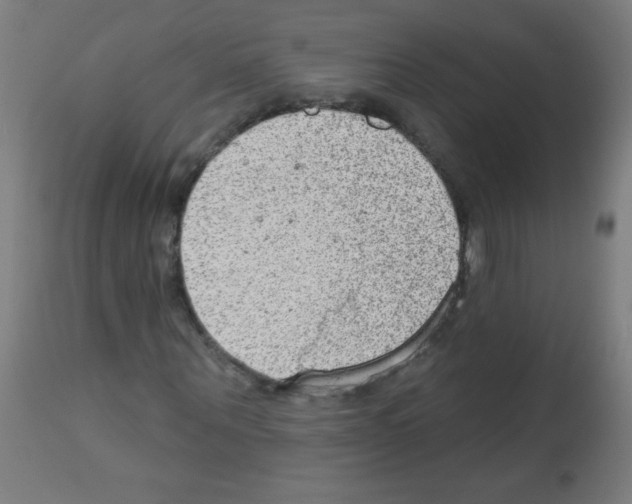 X0000112980867200910081107