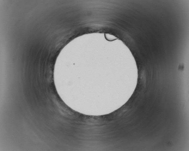 X0000112980868200910081107
