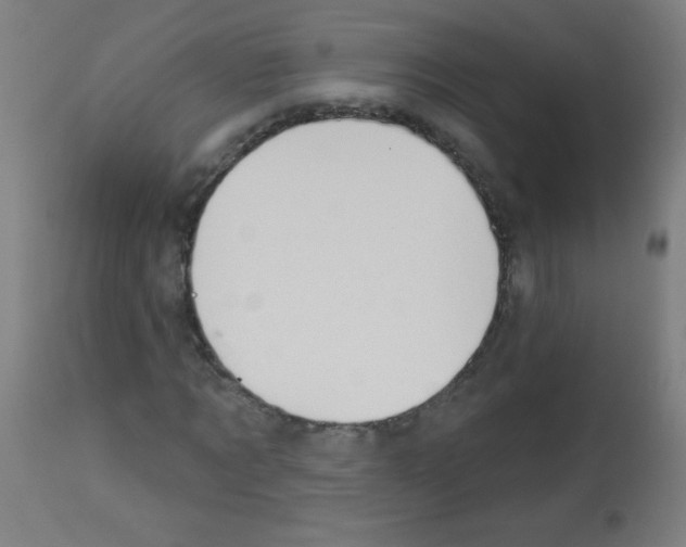 X0000112980869200910081107