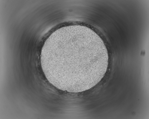 X0000112980871200910081107