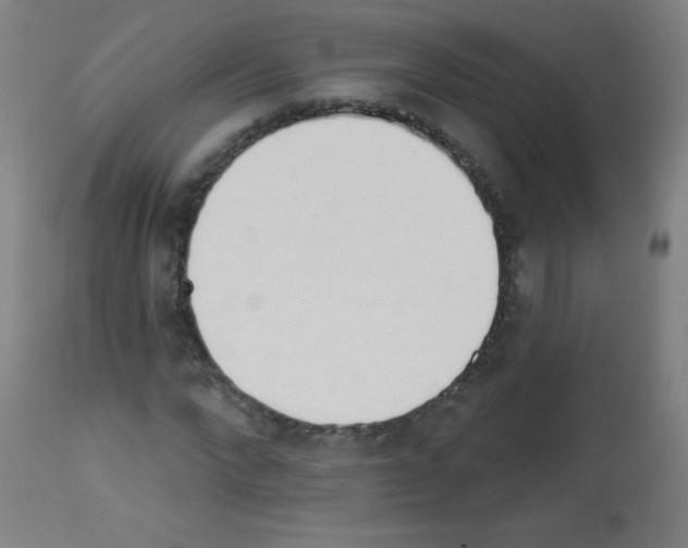 X0000112980872200910081107
