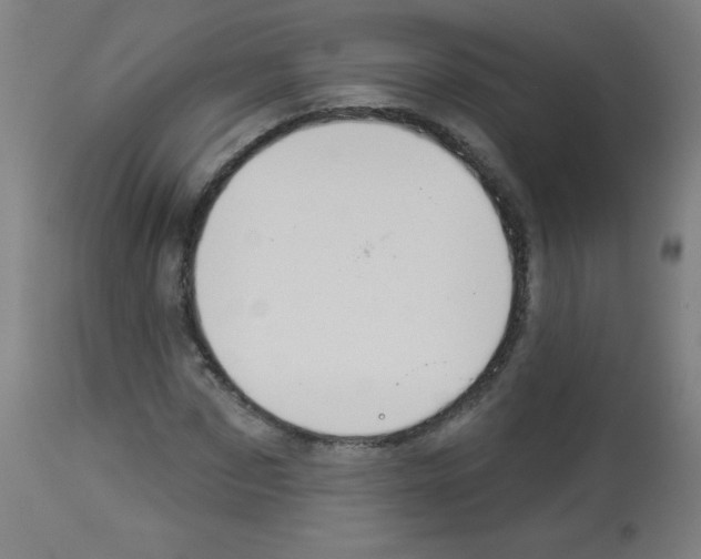 X0000112980873200910081107