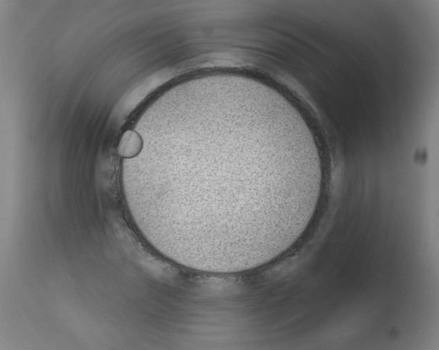 X0000112980874200910081107
