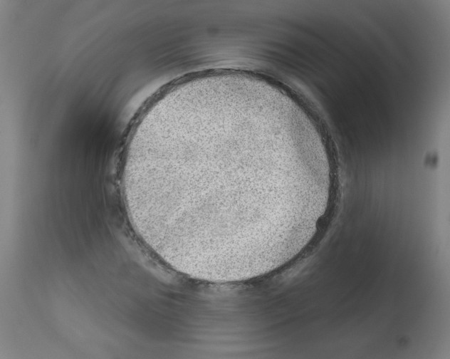 X0000112980875200910081107