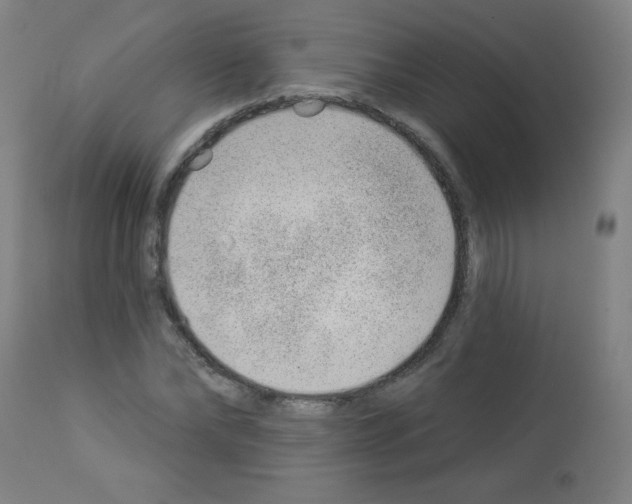 X0000112980878200910081107