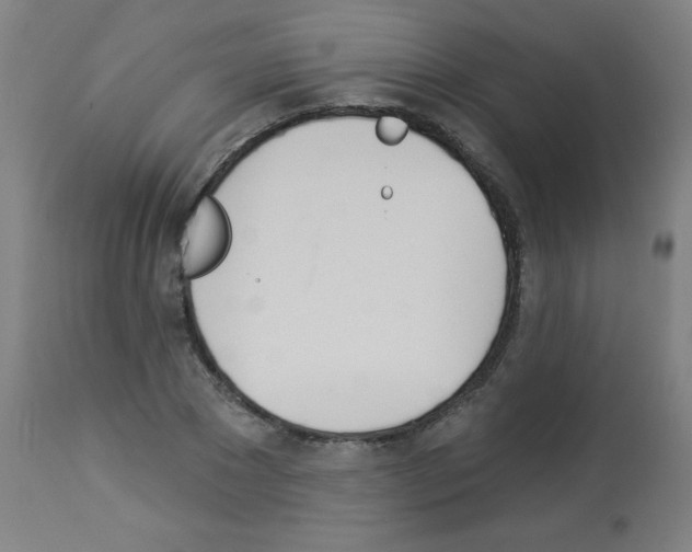 X0000112980881200910081107