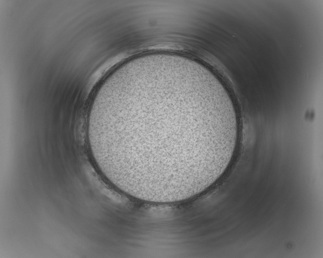 X0000112980882200910081107