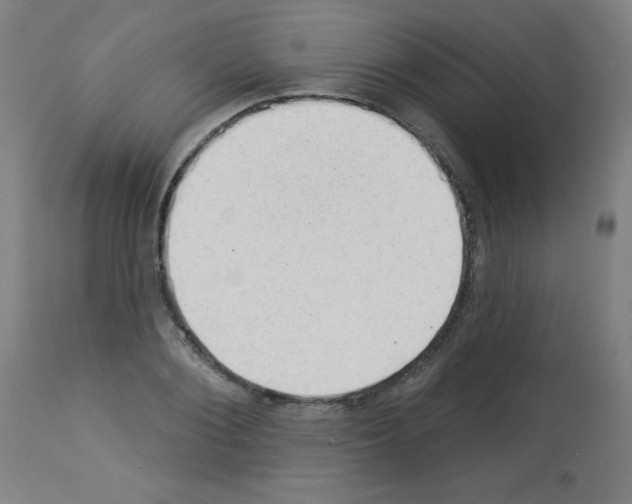 X0000112980884200910081107
