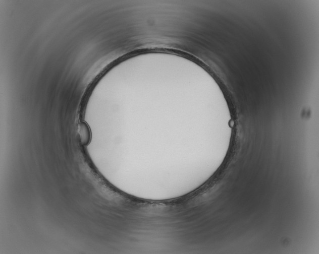 X0000112980885200910081107
