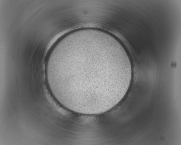X0000112980886200910081107