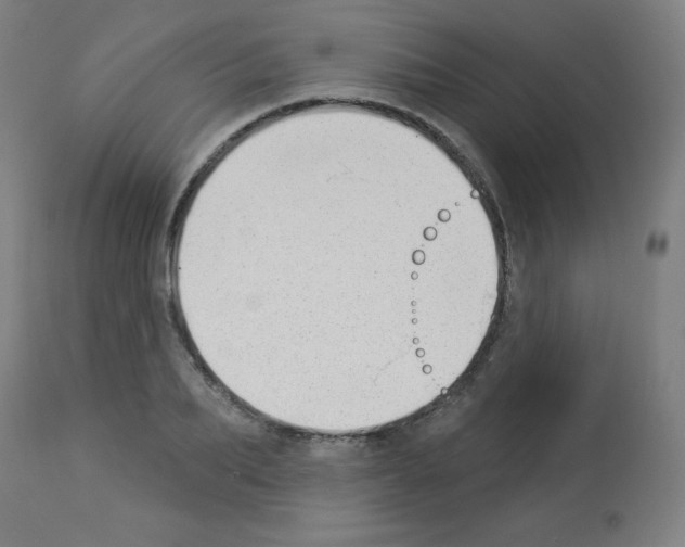 X0000112980887200910081107
