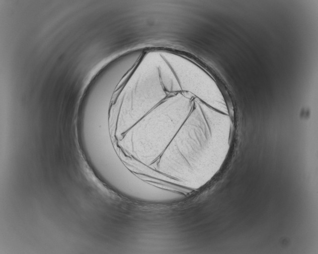 X0000112980888200910081107