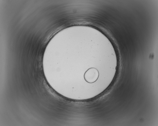 X0000112980889200910081107