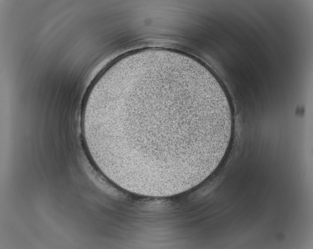 X0000112980891200910081107