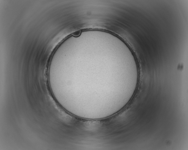 X0000112980893200910081107