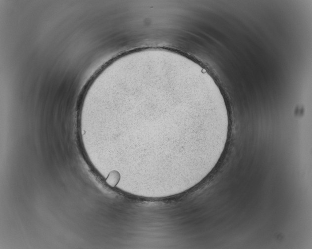 X0000112980894200910081107