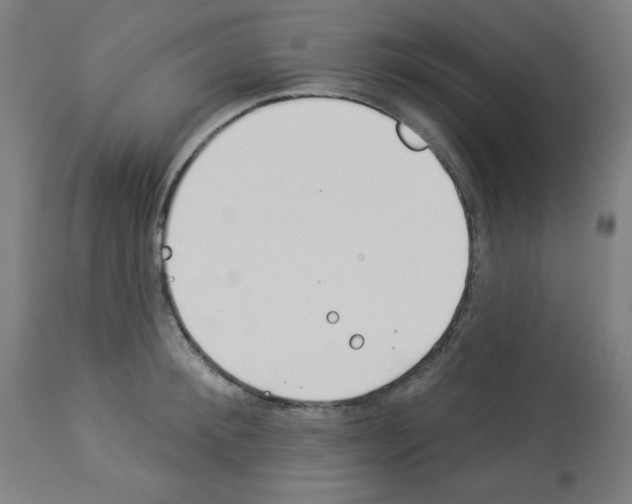 X0000112980900200910081107