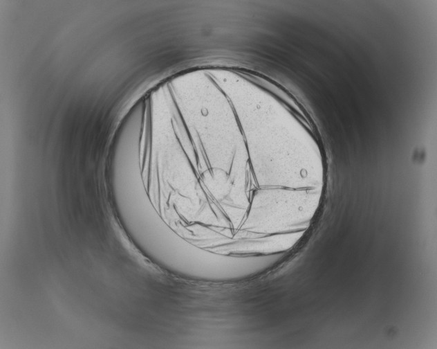 X0000112980901200910081107