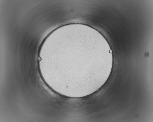 X0000112980902200910081107