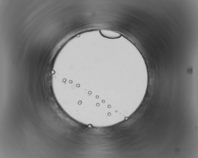 X0000112980904200910081107