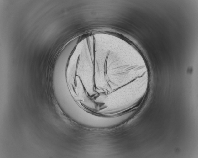 X0000112980905200910081107