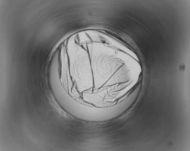 X0000112980908200910081107