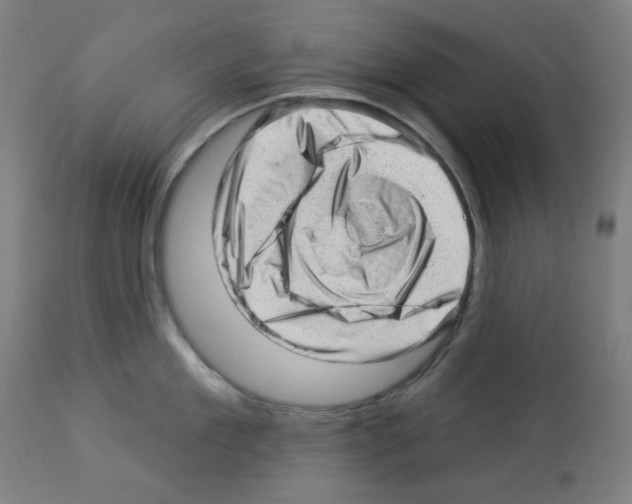 X0000112980909200910081107