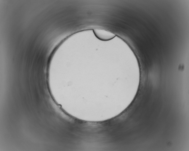 X0000112980910200910081107