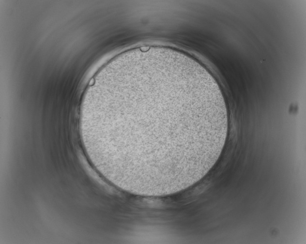 X0000112980911200910081107