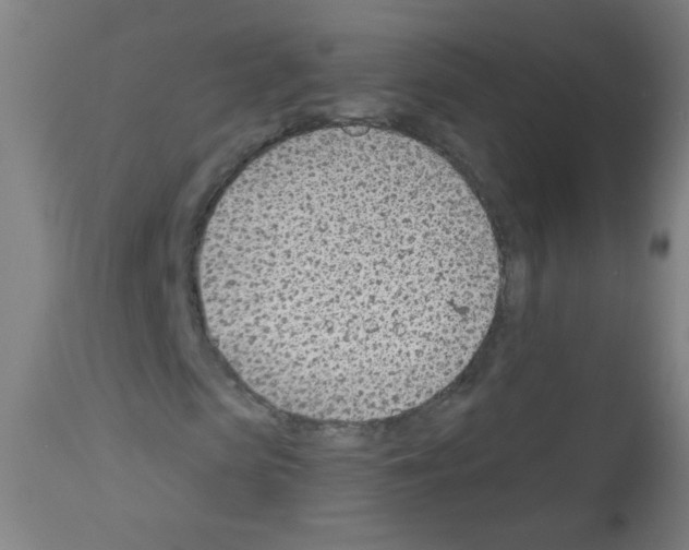 X0000112980913200910081106