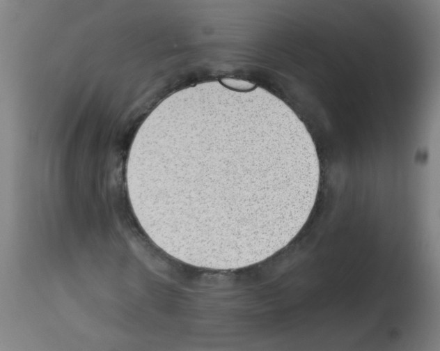 X0000112980914200910081106