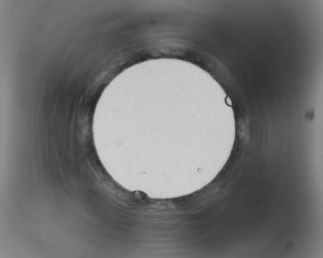 X0000112980915200910081106