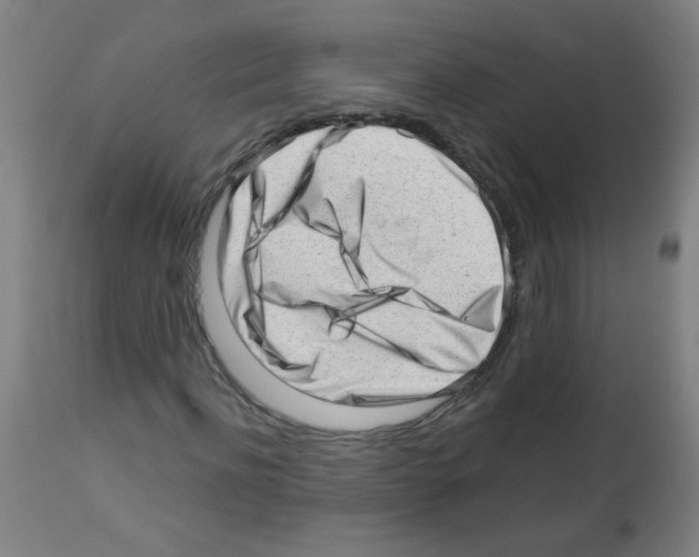 X0000112980916200910081106
