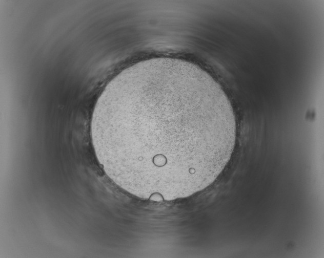 X0000112980917200910081106