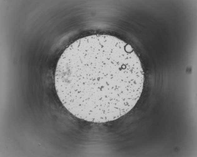 X0000112980918200910081106