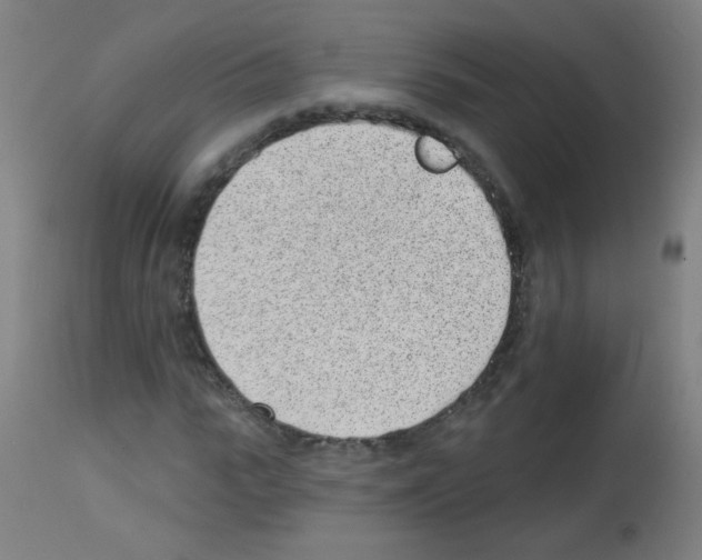 X0000112980919200910081106