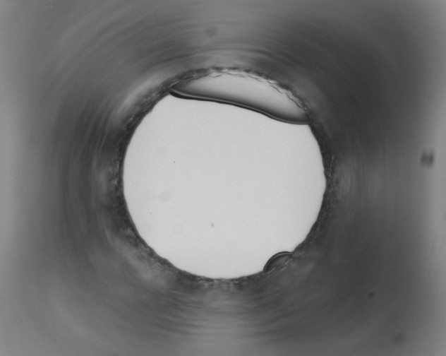 X0000112980920200910081106