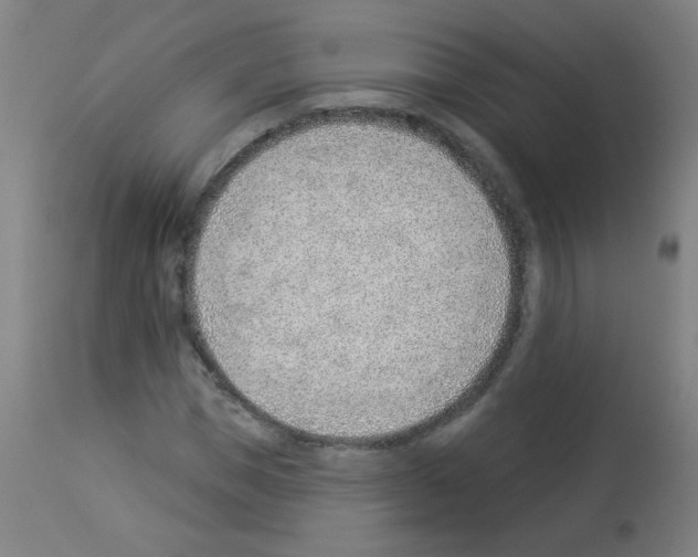 X0000112980921200910081106