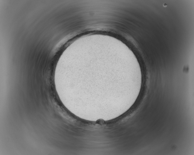 X0000112980922200910081106
