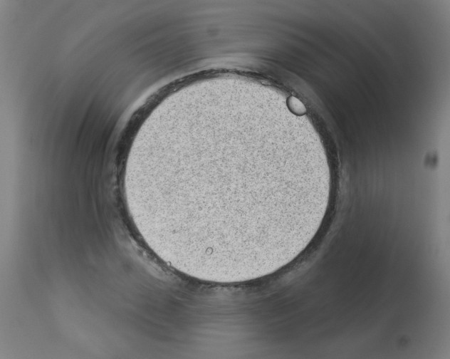 X0000112980923200910081106