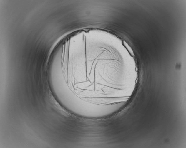 X0000112980924200910081106