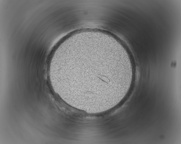 X0000112980925200910081106
