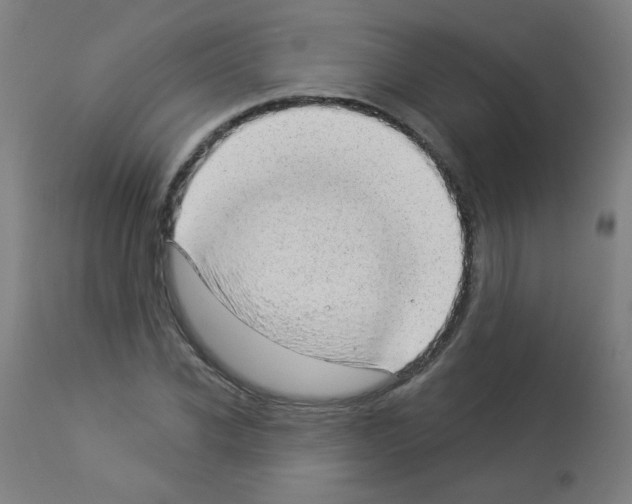X0000112980926200910081106